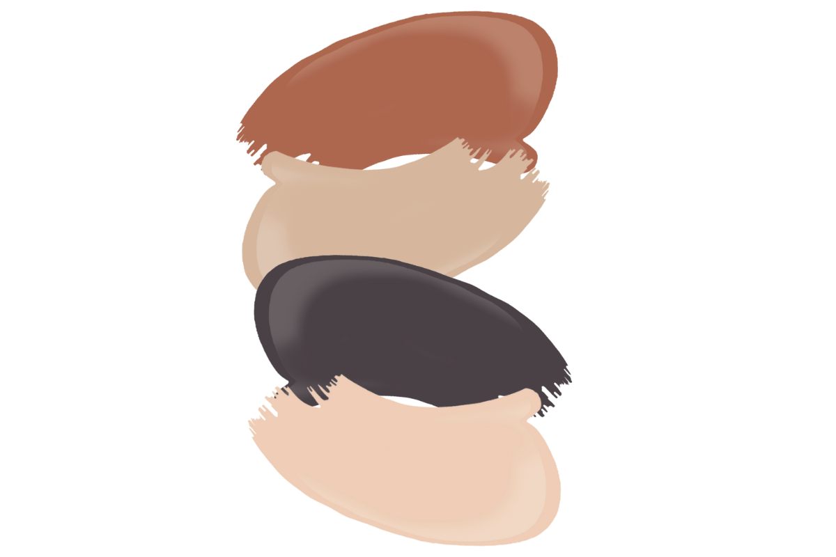 Paint swatches in neutral, pumpkin and mocha colour.