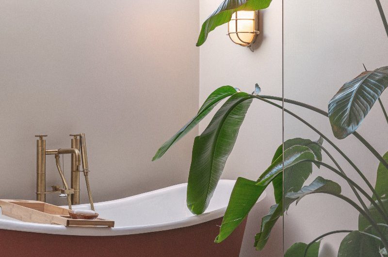 A bathroom design with global touches, a freestanding tub, glass roof, and house plants.